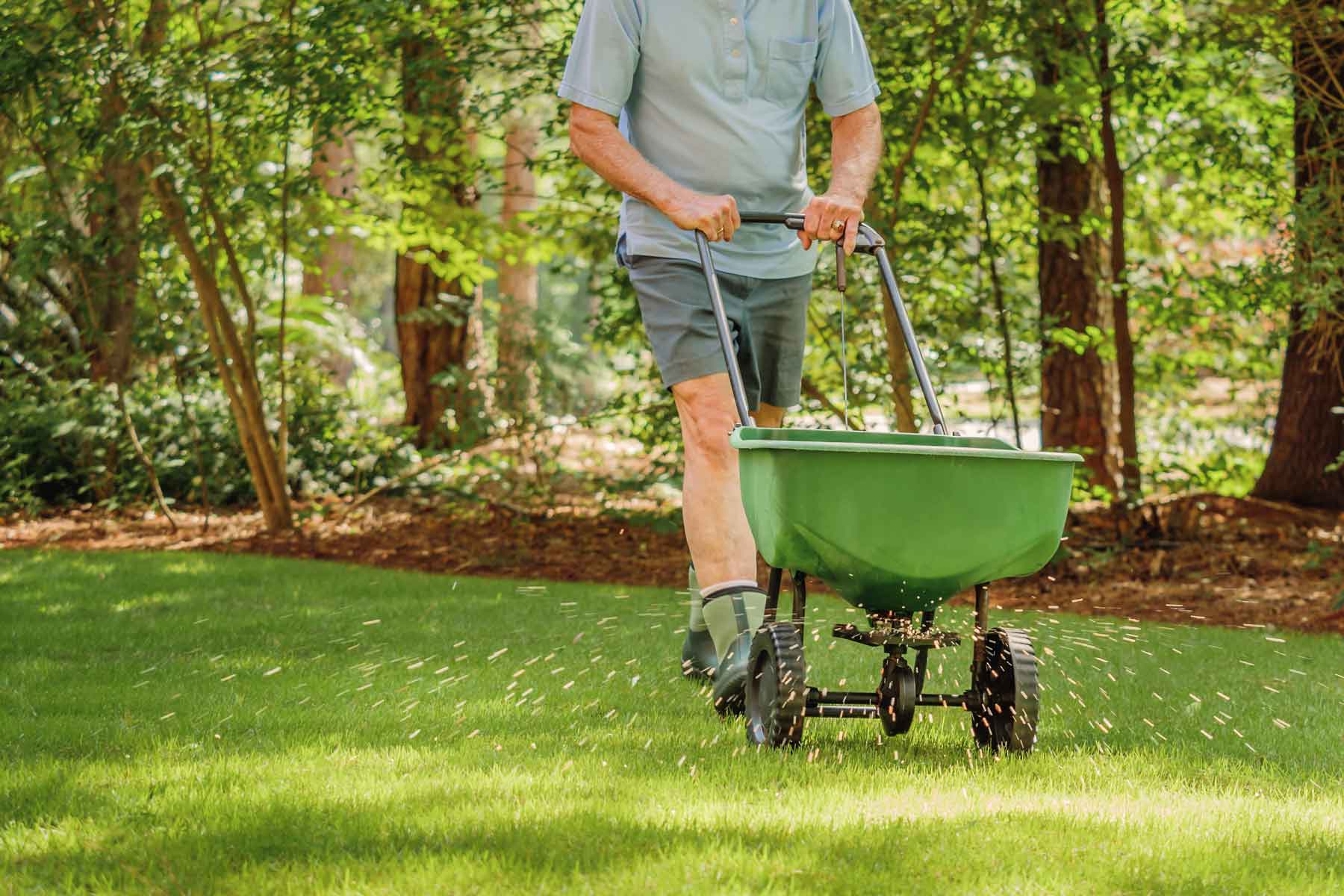 lawn fertilizer service cost