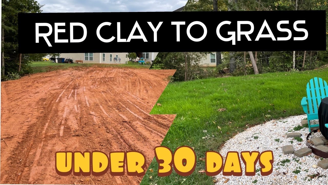 how to grow grass in red clay